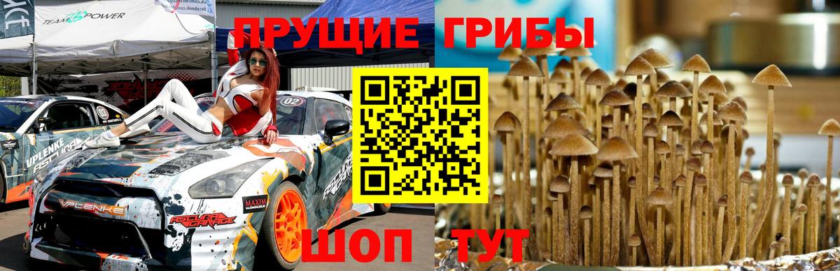 Галлюциногенные грибы мухоморы Одинцово