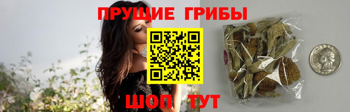 Галлюциногенные грибы Psilocybe  Псилоцибиновые грибы Cubensis  Одинцово  Вход с VPN 